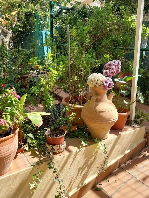 Garden patio